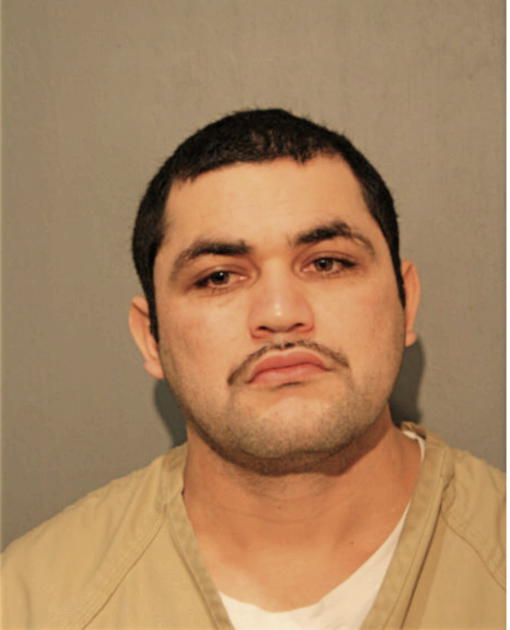 EDGAR ANZALDO, Cook County, Illinois