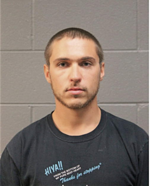 BRADLEY J BIRNEY, Cook County, Illinois