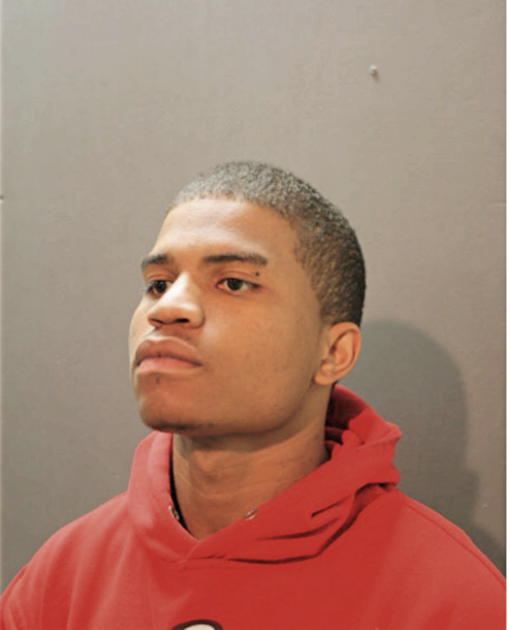 MICHAEL T BLAKE, Cook County, Illinois
