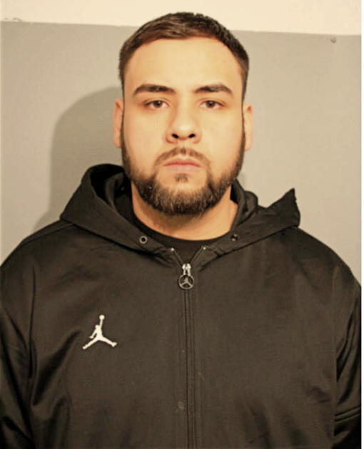 ALEXANDER BOGDANOV, Cook County, Illinois