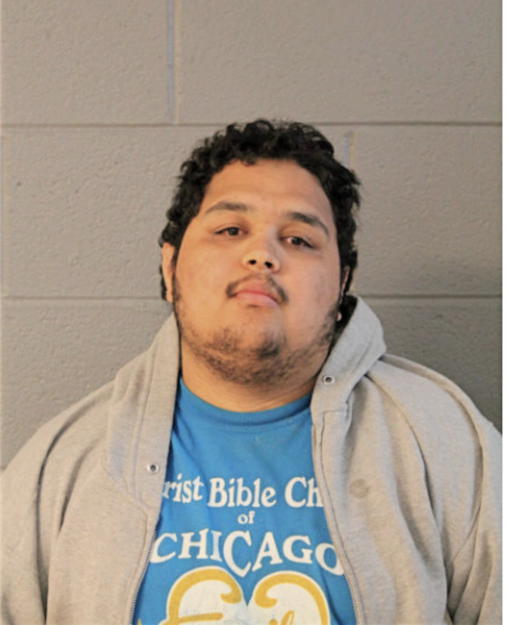 GONZALO CASTANEDA, Cook County, Illinois