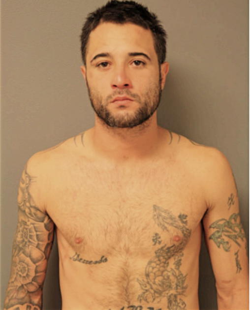RAMON G COLON, Cook County, Illinois