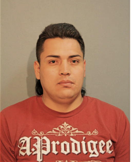 FREDI CARDENAS ESCALONA, Cook County, Illinois