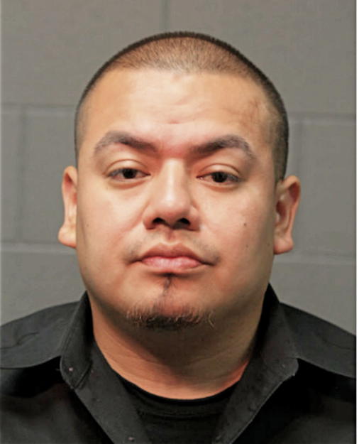 JUAN C FERNANDEZ, Cook County, Illinois