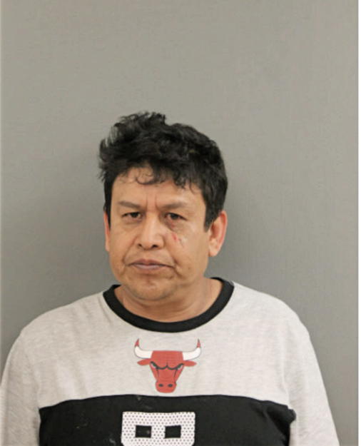 RUTILO FLORES, Cook County, Illinois