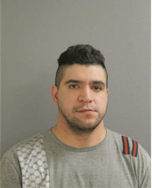 GENARO GONZALEZ-ZETINA, Cook County, Illinois