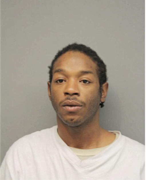 DARNELL J HOGANS, Cook County, Illinois