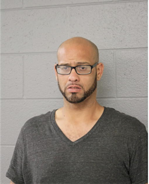 CARLOS A IRUIRTA, Cook County, Illinois