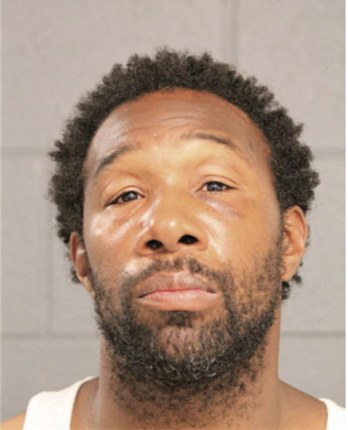 MICHAEL S JOHNSON, Cook County, Illinois