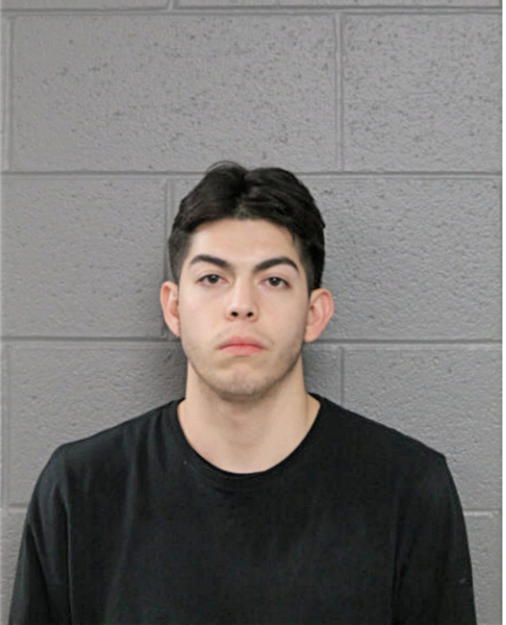 ISAC MARTINEZ, Cook County, Illinois