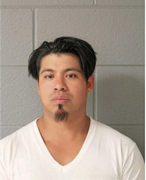 ALEJANDRO MENDOZA, Cook County, Illinois