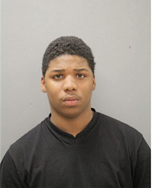 HISHENIQUE S MITCHELL, Cook County, Illinois