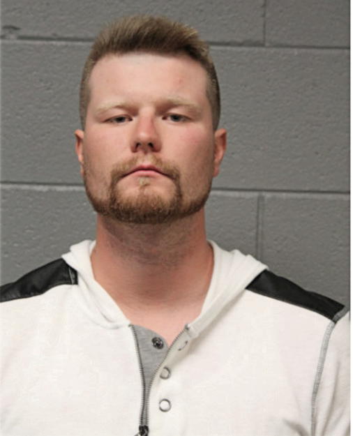 MATTHEW CHRISTOPHER NICHOLSON, Cook County, Illinois
