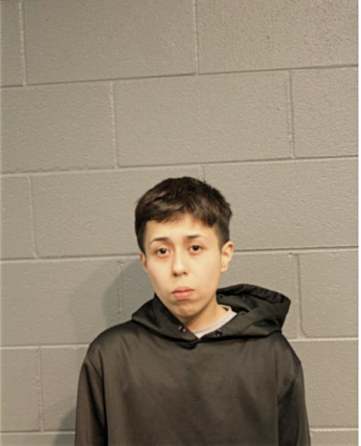ANDREA M ORTIZ, Cook County, Illinois