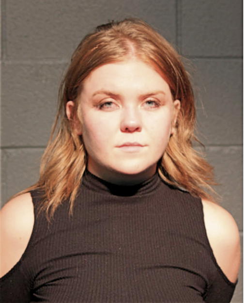 ERIN CATHERINE PALENIK, Cook County, Illinois
