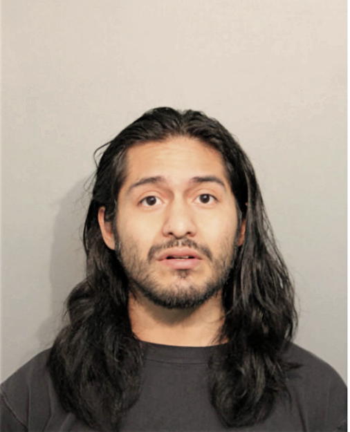 ERICK PALMA, Cook County, Illinois