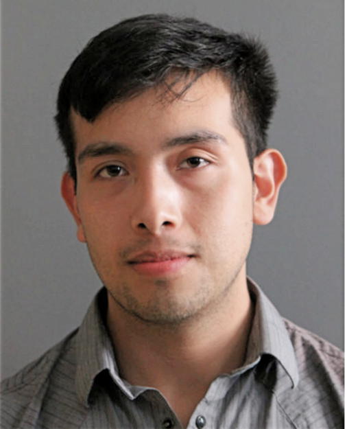 ALEXANDER G PINEDA, Cook County, Illinois
