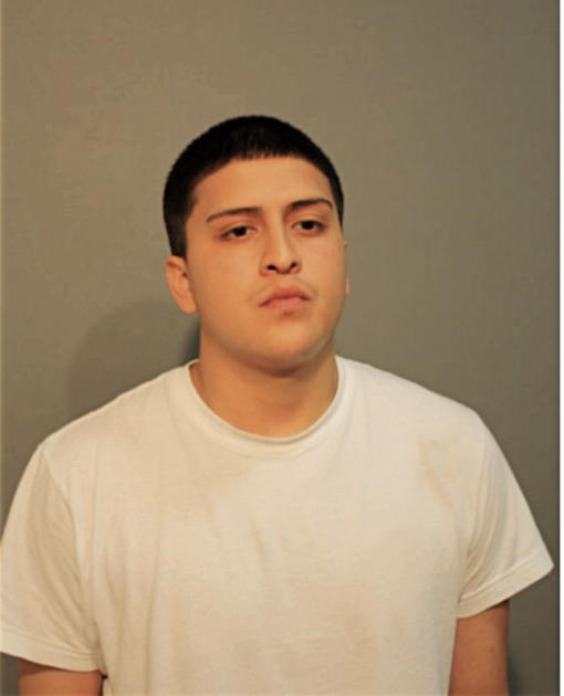CARLOS RICO, Cook County, Illinois