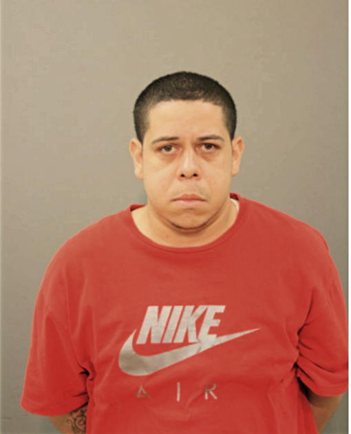 LUIS D VARGAS, Cook County, Illinois