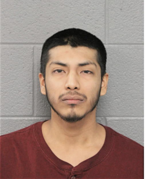 CESAR VILLALOBOS-ALEMAN, Cook County, Illinois