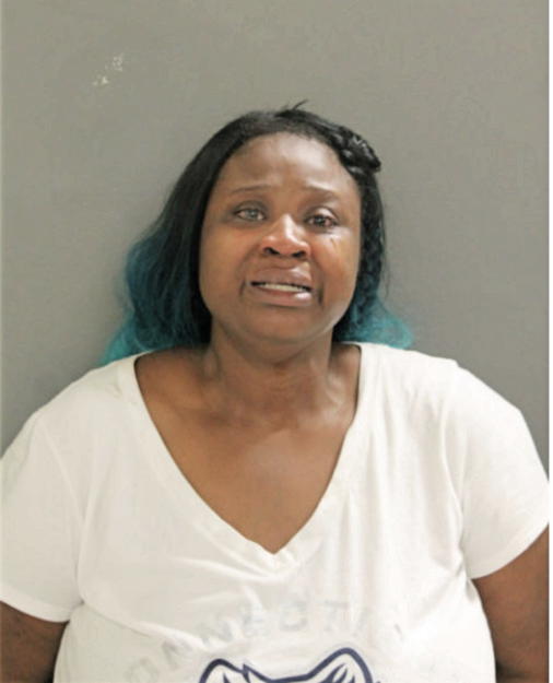 MICHELLE N WILLIAMS, Cook County, Illinois