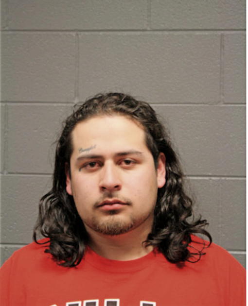 ADRIEL ALVAREZ, Cook County, Illinois
