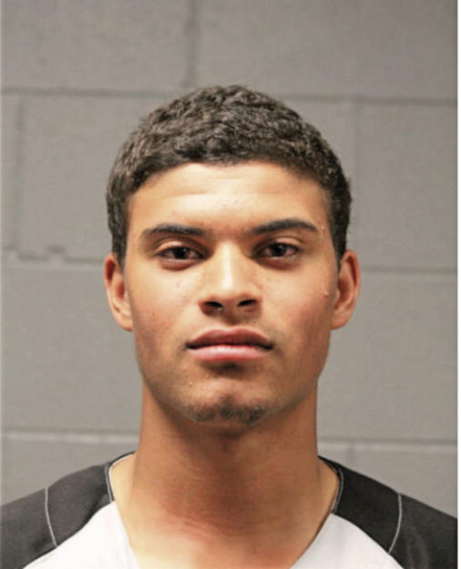 DONAVAN L BIRD, Cook County, Illinois