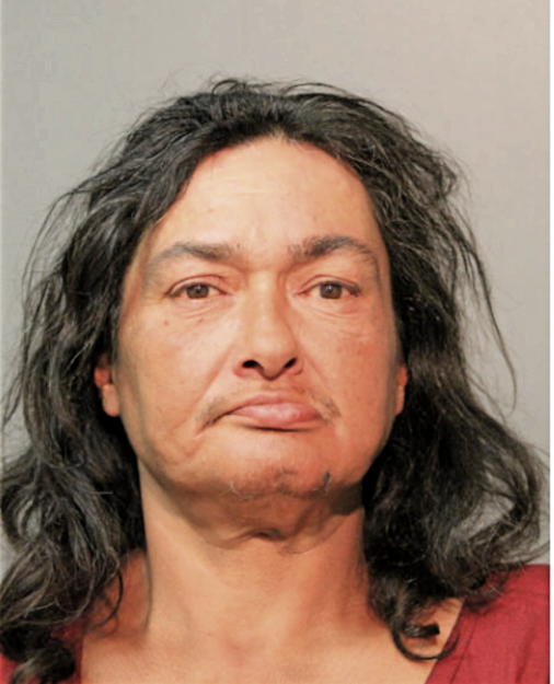 CYNTHIA C RINCON, Cook County, Illinois
