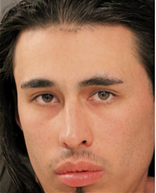 SALVADOR CHAVEZ, Cook County, Illinois