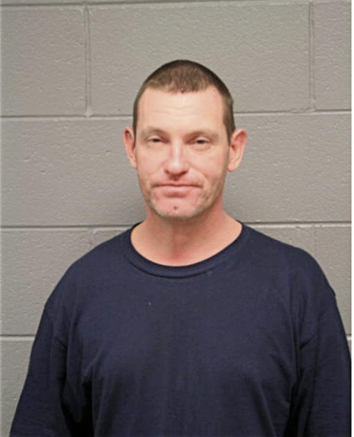 MICHAEL L DAVIS, Cook County, Illinois