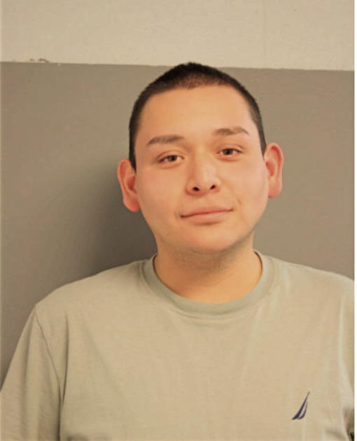 LUIS A DE SANTIAGO, Cook County, Illinois