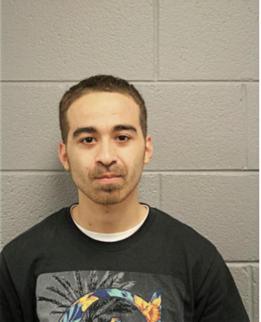 FERAS S EL GHOUL, Cook County, Illinois