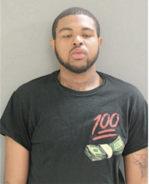 BRUCE E FORD, Cook County, Illinois