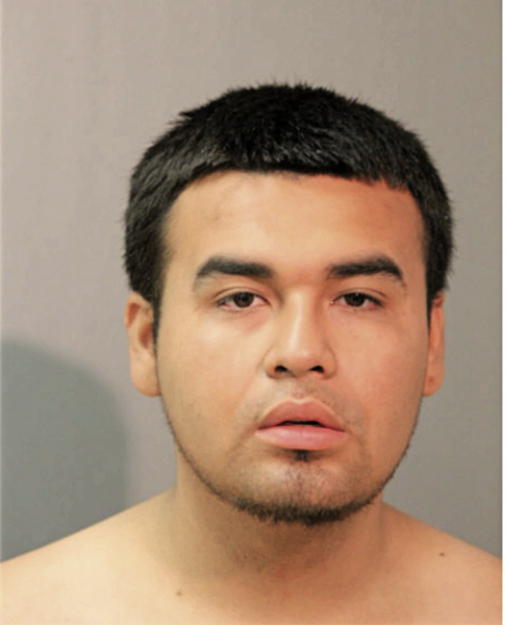 CHRISTIAN GONZALEZ, Cook County, Illinois