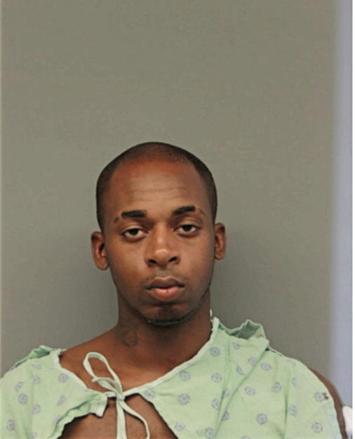 OCHAE J GREEN, Cook County, Illinois