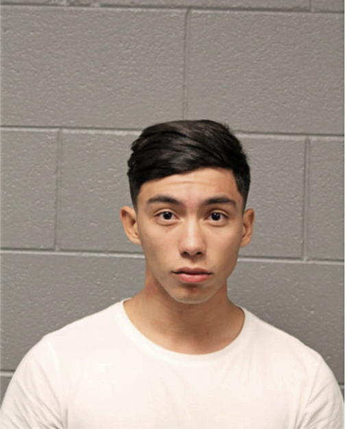 ANDREW D GUIFARRO, Cook County, Illinois