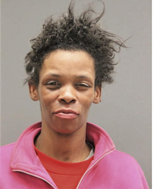 YVONNE P HAYES, Cook County, Illinois