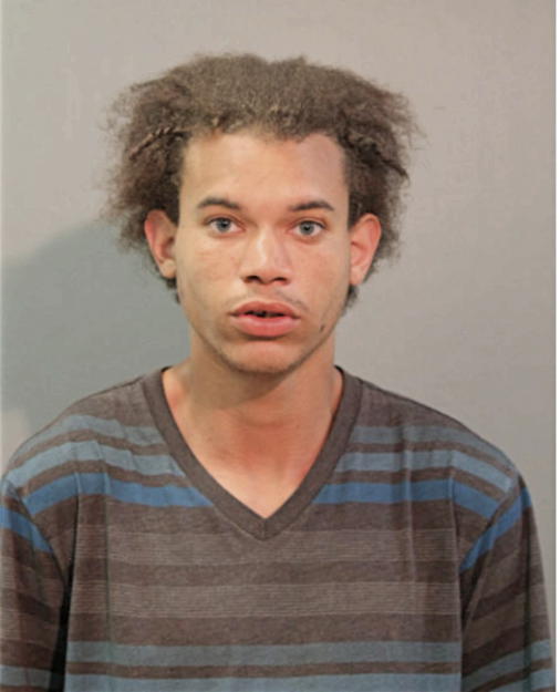 SAMUEL J HENDERSON, Cook County, Illinois