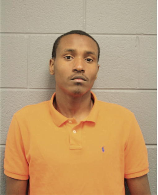 DAVID T HILL, Cook County, Illinois