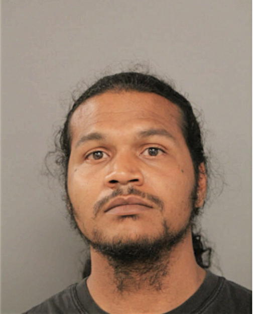 MICHAEL A HUBBARD, Cook County, Illinois