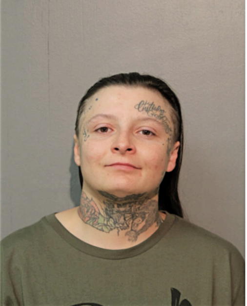 SHALENE M JANKE, Cook County, Illinois