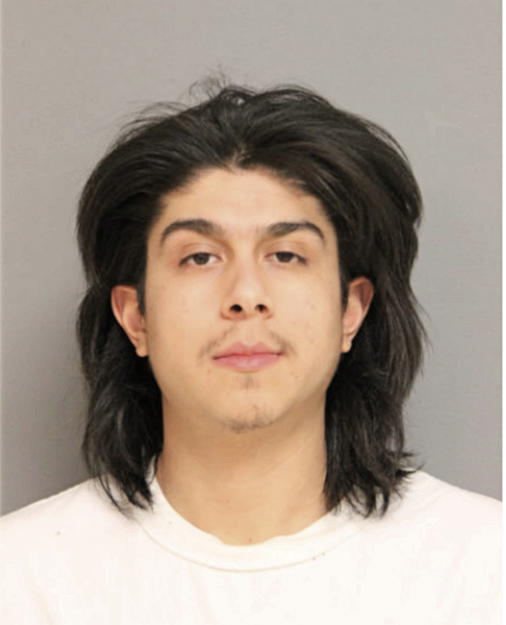 LUIS JIMENEZ, Cook County, Illinois