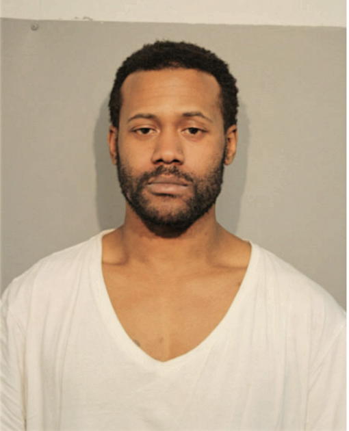 MICHEAL L JOHNSON, Cook County, Illinois