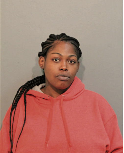 ADESHOLA O LAWAL, Cook County, Illinois