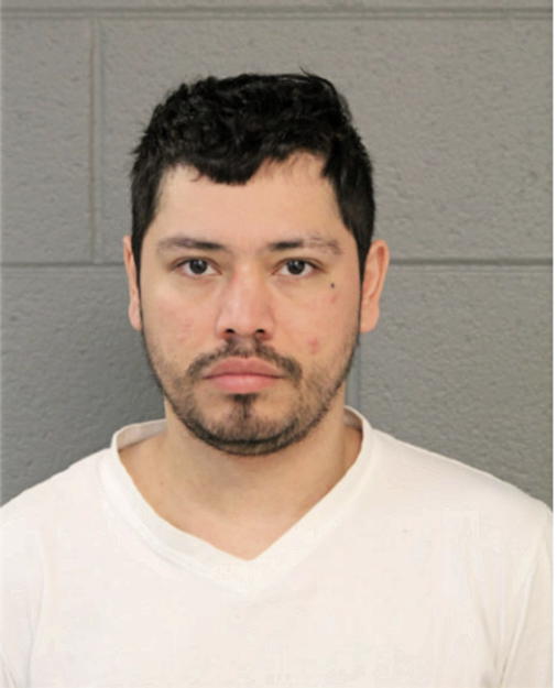 LUIS E LEON, Cook County, Illinois