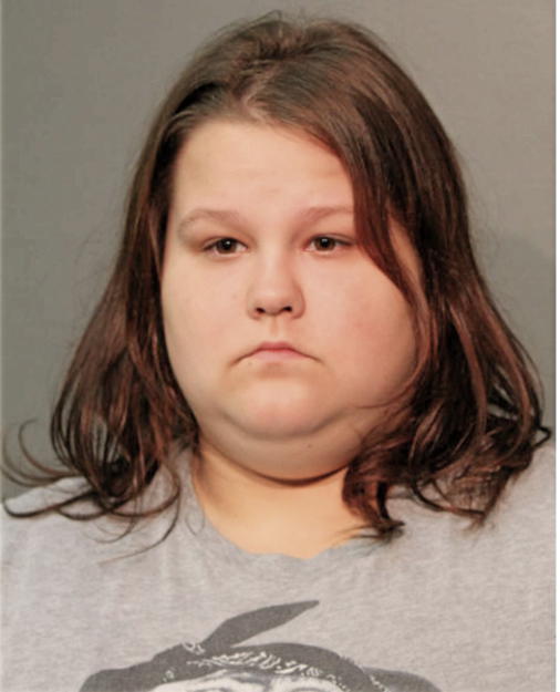 MACEY D LIES, Cook County, Illinois
