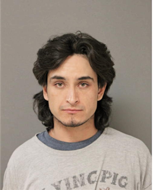 GUILLERMO DIAZ MARTINI, Cook County, Illinois