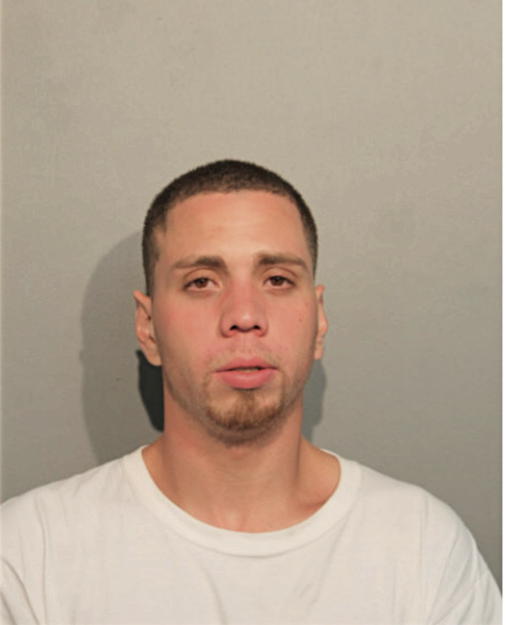 LUIS MORALES-GONZALES, Cook County, Illinois
