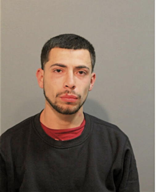 JESUS G ORTEGA, Cook County, Illinois