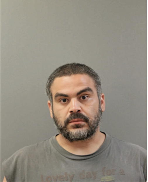 PETER J ORTIZ, Cook County, Illinois